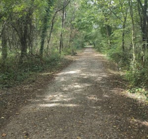 Petite balade au plateau des Landes - Blendecques - 4