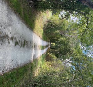 Début de Flow Vélo sur le chemin blanc - Saintes - - Saintes - 7