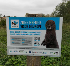 Petite visite à Dompierre - Dompierre-sur-Charente - 3