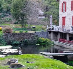 Balade au petit pont de bois - Razès - 4