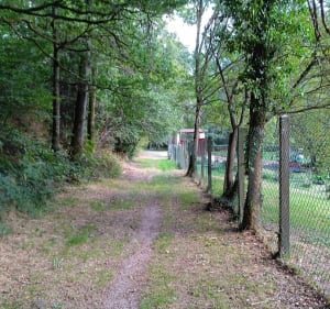 Balade au petit pont de bois - Razès - 5