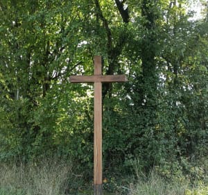 Balade en forêt de Rouesses - Châteauneuf-Val-de-Bargis - 4