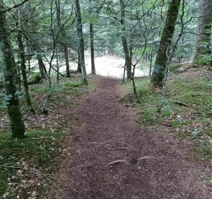 Parcours sylvatorium des capucines au Mont Dore - Mont-Dore - 5