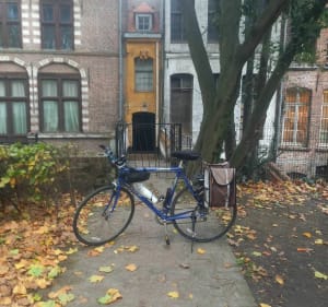 Petite balade Lilloise - Lille - 3