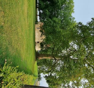 Jouy l'abbaye de Bannost - Bannost-Villegagnon - 5