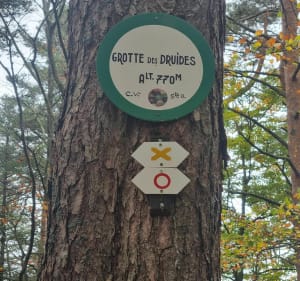 Mont saint Odile, Le Mur païen sud - Ottrott - 4