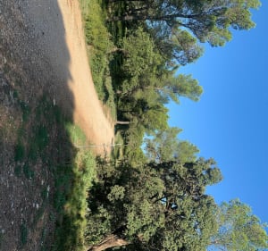 Promenade du côté de Fontvieille et ses sentiers - Fontvieille - 5