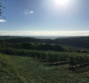 Randonnée à Saint-Romain - Saint-Romain - 3