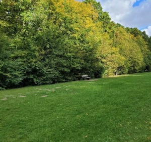 Forêt de Bondy et l'Etang Virginie - Coubron - 3