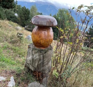 Le musée sans murs - Font-Romeu-Odeillo-Via - 4
