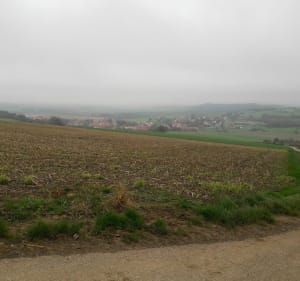 Balade au pied du Kochersberg - Willgottheim - 4