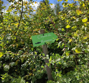 Circuit du Ruisseau de Gaschard - Magnat-l'Étrange - 3