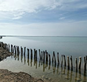 Entre la plage de Beauduc et le Rhône - Decathlon - 4