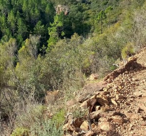 Col d'Aubert massif de l'Esterel - Saint-Raphaël - 3