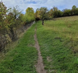 Vironvay belle balade sur les coteaux - Vironvay - 3