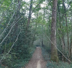 Autour de Bonrepos-sur-Aussonnelle par la voie romaine - Bonrepos-sur-Aussonnelle - 3