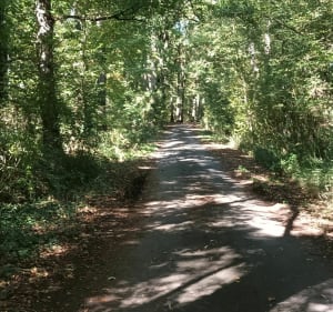 Moléans chemin de forêt, et petits passages. - Moléans - 4