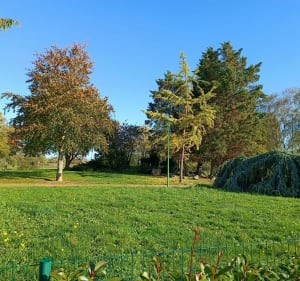 Promenade aux alentours de Béthune. - Béthune - 3