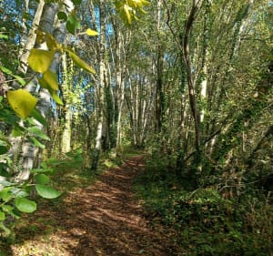 Promenade aux alentours de Béthune. - Béthune - 5