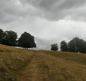 Balade dans la forêt de Montbert à proximité du lac Chauvet - Picherande - 5