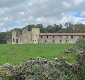 Autour de L’Hermenault par les Chaumes - L'Hermenault - 3