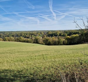 Entre Septeuil et Courgent - Septeuil - 4