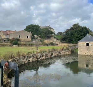 Autour de L’Hermenault par les Chaumes - L'Hermenault - 5