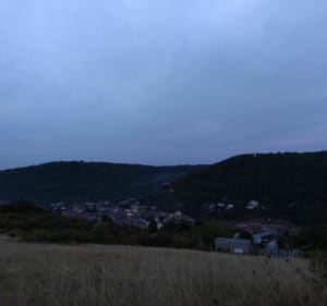 Algrange et les pelouses de calcaires - Algrange - 3