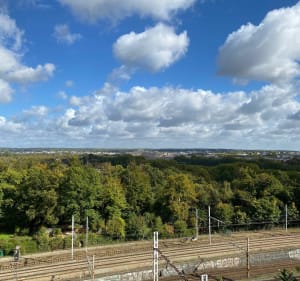 Rando éco : autour d’étang à Versailles - Versailles - 3