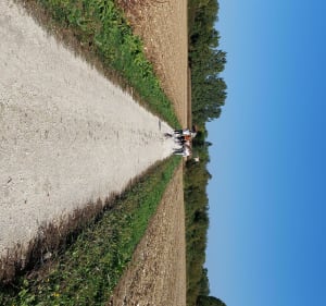 Mosnac et Malvy le long de la Charente - Mosnac-Saint-Simeux - 3