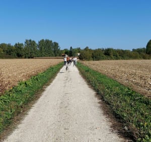 Mosnac et Malvy le long de la Charente - Mosnac-Saint-Simeux - 8
