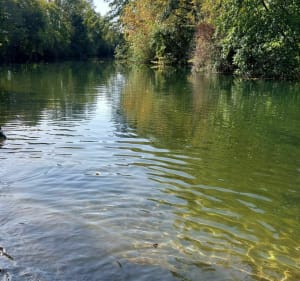 Mosnac et Malvy le long de la Charente - Mosnac-Saint-Simeux - 9