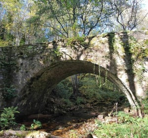 Boucle vallée du Visézy Essertines en Châtelneuf - Essertines-en-Châtelneuf - 5