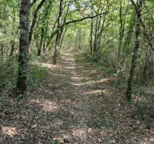 Sentier des coteaux en Cestayrols - Cestayrols - 3