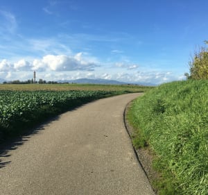 Promenade sur les hauteurs de Morschwiller le bas. - Martine - 3