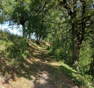Sentier des coteaux en Cestayrols - Cestayrols - 4