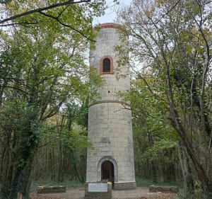 Entre champs et forêt autour de Louerre - Tuffalun - 3