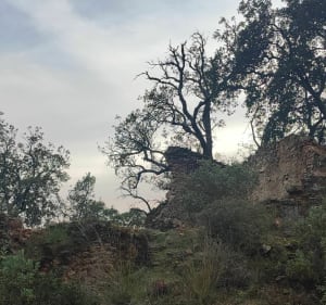 Randonnée proche camping la Bergerie - Roquebrune sur Argens - 5