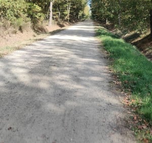Balade en VTT à travers la forêt de Bouconne - Aussonne - 4