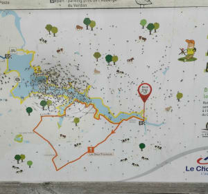 Le verdon, boucle des 2 provinces - Saint-Pierre-des-Échaubrognes - 3