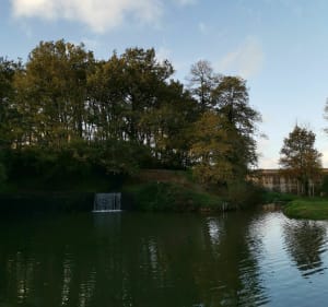 Sentier des arcades (partie 2/2) - Joué-sur-Erdre - 5