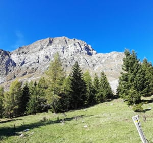 Rando au Col de l'Arpettaz - Ugine - 4