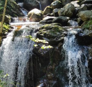 Vallée du Lis : Cascade D'Enfer et son Ru. - Bagnères de Luchon - 5
