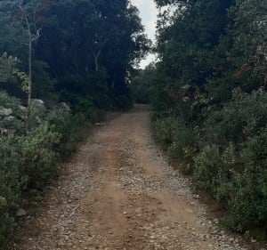 Randonnée à la Gardiole depuis Gigean - Gigean - 4