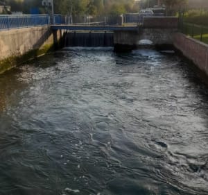 Lambres-Lez-Douai le long de Canal de la Sensée - Pierre - 3