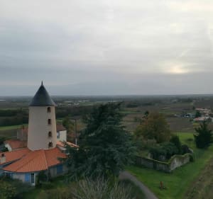Du moulin du Pé à la butte de la Roche - Le Loroux-Bottereau - 5