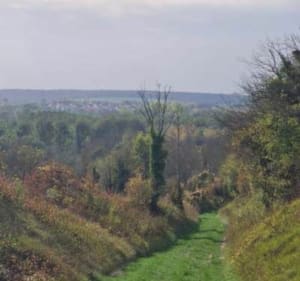 La Petripontaine - Trois-Rivières - 3