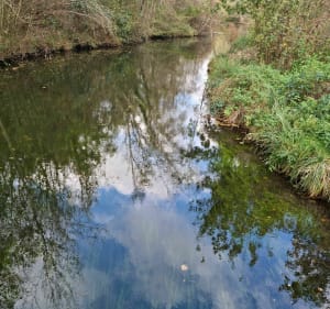 Boucle Boutigny- Vayres par les bords d'Essonne - Boutigny-sur-Essonne - 5