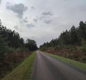 Promenade dans la nature - Ygos-Saint-Saturnin - 3