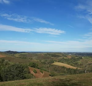 Balade à Saint-Pée-sur-Nivelle par la ferme de Maxalanea - Saint-Pée-sur-Nivelle - 3